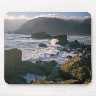 Oregon kusten musmatta