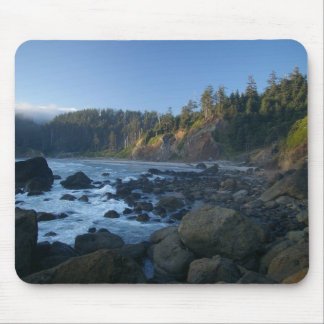 Oregon Kusten Musmatta