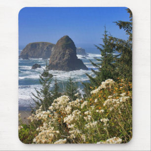 Oregon kusten musmatta