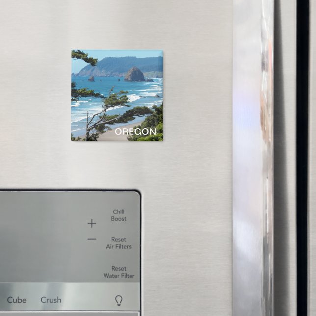 Oregon Kusten Scenia Sjölandskap Magnet (In Situ (Fridge))