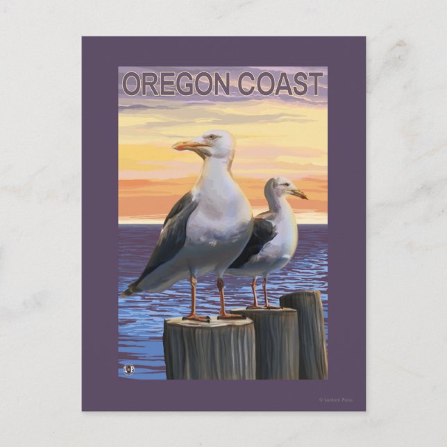 Oregon Kusten Sea Gulls Vykort (Framsida)