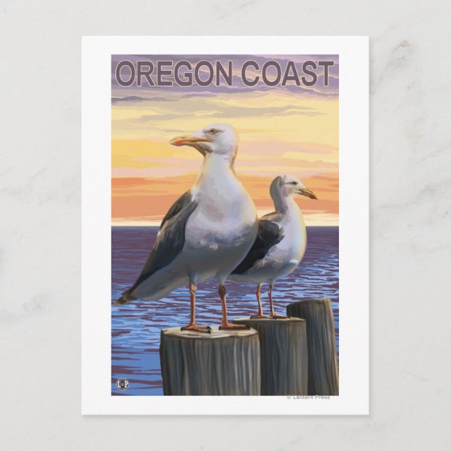 Oregon Kusten Sea Gulls Vykort (Framsida)