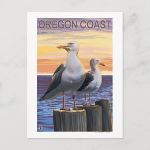 Oregon Kusten Sea Gulls Vykort