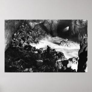 Oregon Kusten Sea Lejon Caves Insida View Poster