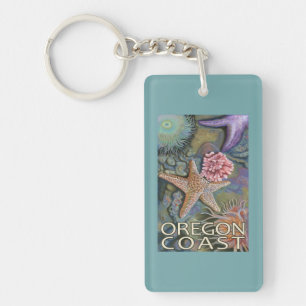 Oregon kusten Tidepool