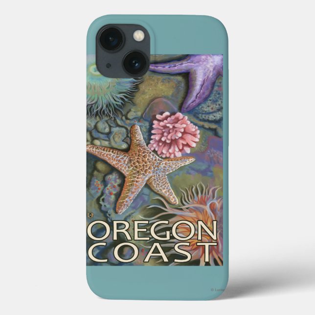Oregon Kusten Tidepool (Baksida)