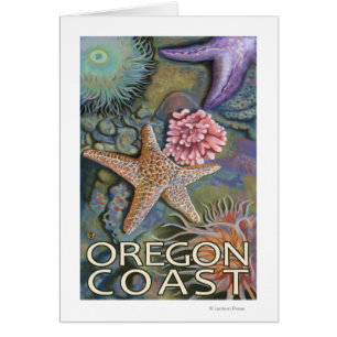 Oregon Kusten Tidepool Hälsningskort