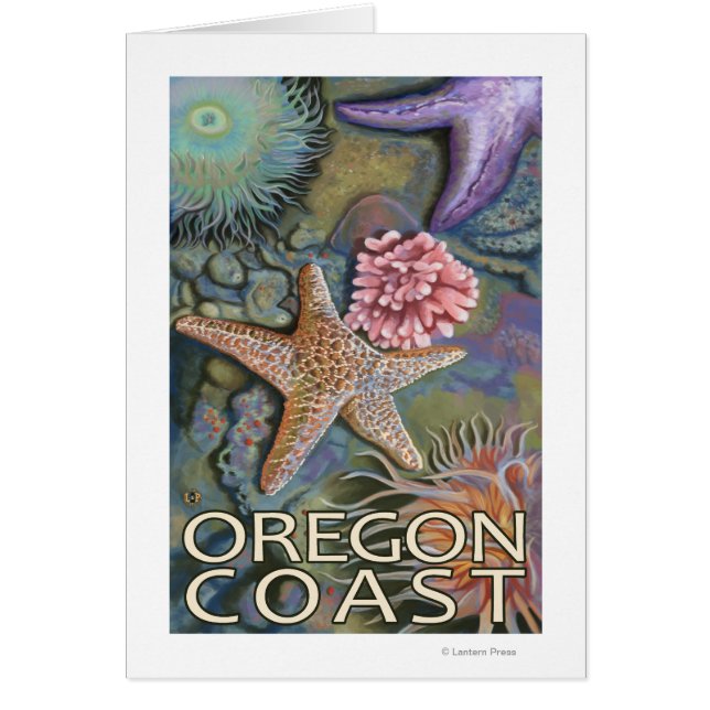 Oregon Kusten Tidepool Hälsningskort (Framsidan)