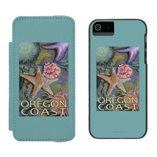 Oregon kusten Tidepool