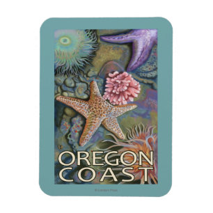 Oregon kusten Tidepool Magnet