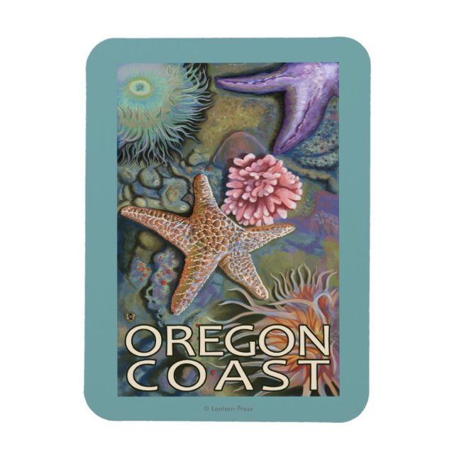 Oregon Kusten Tidepool Magnet (Vertikal)
