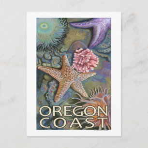 Oregon Kusten Tidepool Vykort