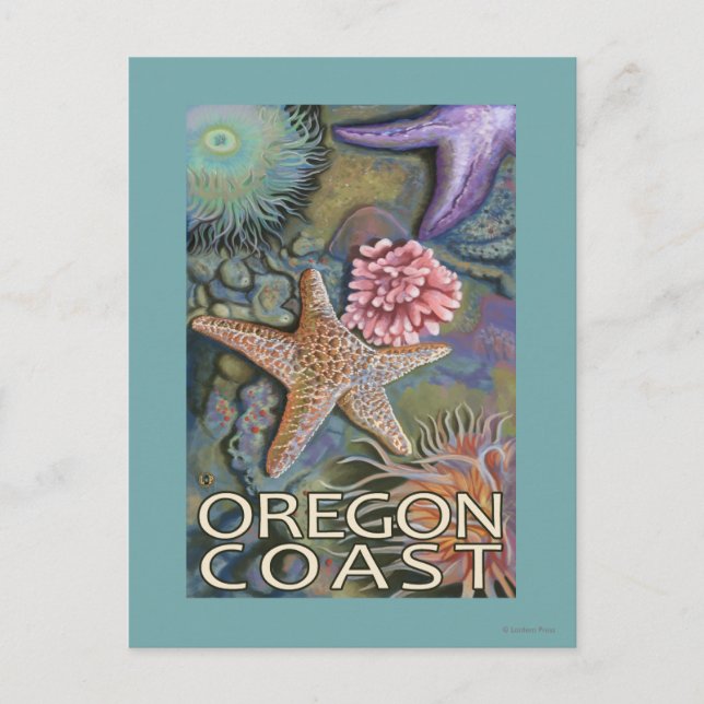 Oregon Kusten Tidepool Vykort (Framsida)