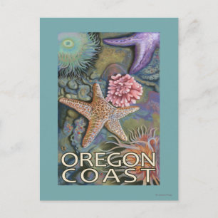 Oregon Kusten Tidepool Vykort