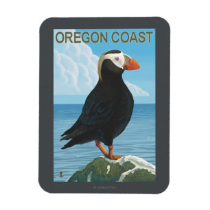 Oregon Kusten Tuftingpuffin Magnet
