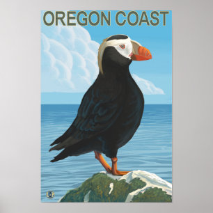Oregon Kusten Tuftingpuffin Poster