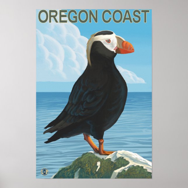 Oregon Kusten Tuftingpuffin Poster (Framsidan)