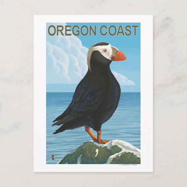 Oregon Kusten Tuftingpuffin Vykort (Framsida)