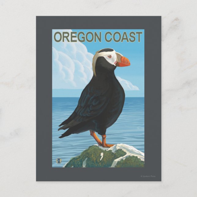 Oregon Kusten Tuftingpuffin Vykort (Framsida)