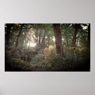 Oregon Magic - Poster