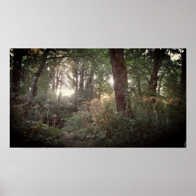 Oregon Magic - Poster (Framsidan)