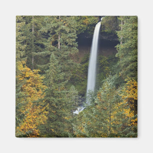 Oregon, Silver Falls delstatliga park, North Falls Magnet