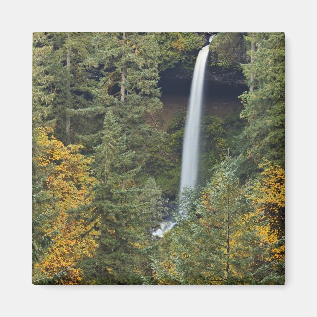 Oregon, Silver Falls delstatliga park, North Falls Magnet (Framsidan)