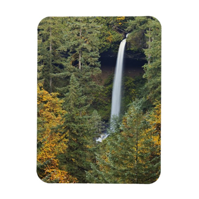 Oregon, Silver Falls delstatliga park, North Falls Magnet (Vertikal)