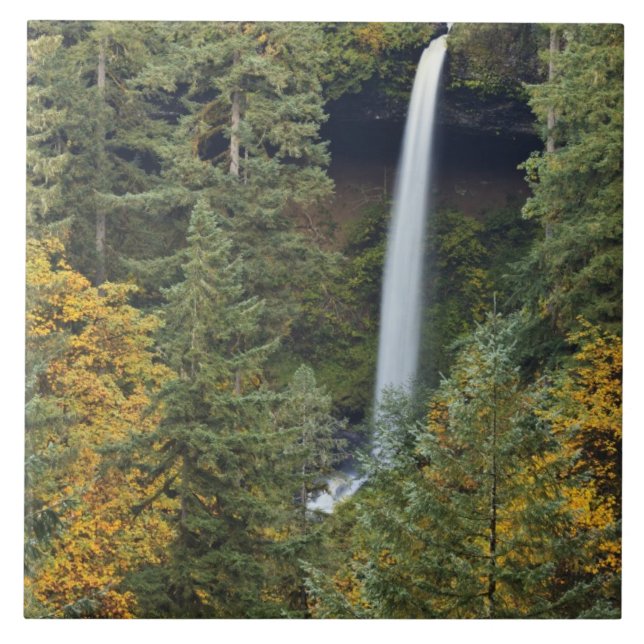 Oregon, Silver Falls State Park, North Falls Kakelplatta (Framsidan)