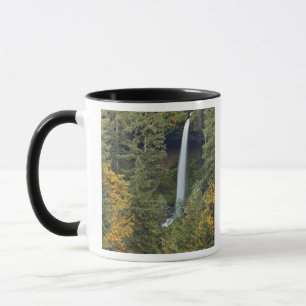 Oregon, Silver Falls State Park, North Falls Mugg