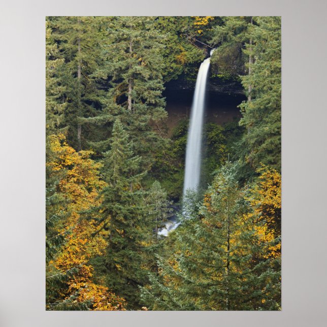 Oregon, Silver Falls State Park, North Falls Poster (Framsidan)