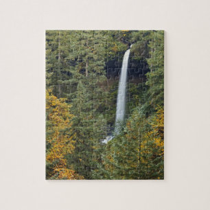Oregon, Silver Falls State Park, North Falls Pussel