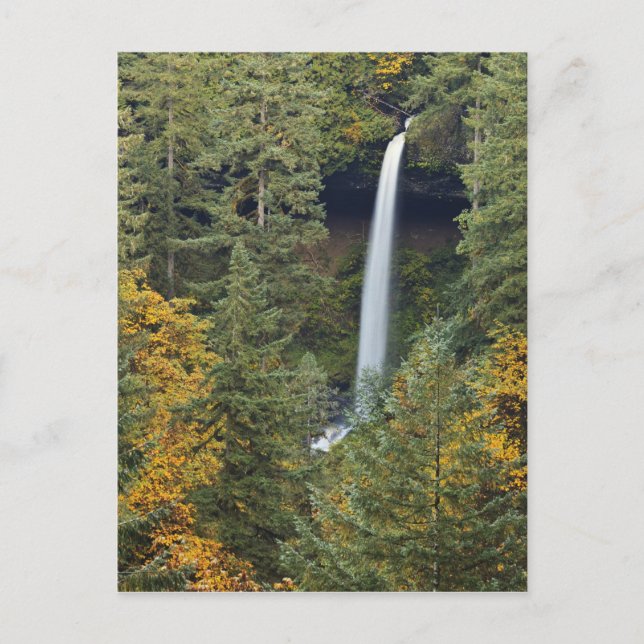 Oregon, Silver Falls State Park, North Falls Vykort (Framsida)
