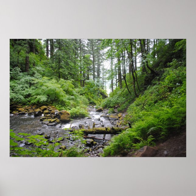 Oregon-skog Poster (Framsidan)