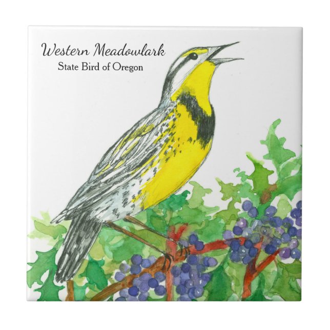 Oregon Souvenir Meadowlark Botanik Kakelplatta (Framsidan)