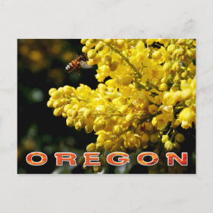 Oregon State Blomma: Oregon Druva Vykort