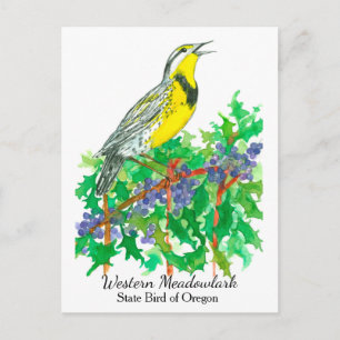 Oregon State Flower Bird Meadowlark Vykort