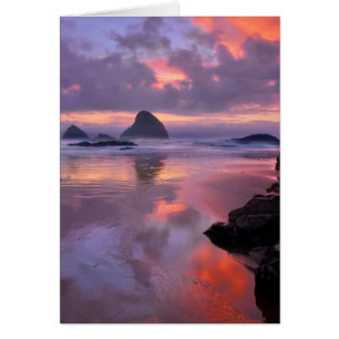 Oregon strand och havsstoder, solnedgång hälsningskort