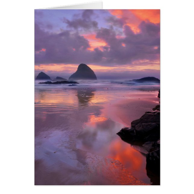 Oregon strand och havsstoder, solnedgång hälsningskort (Framsidan)