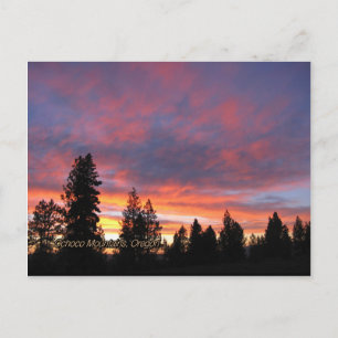 Oregon Sunset-vykort Vykort