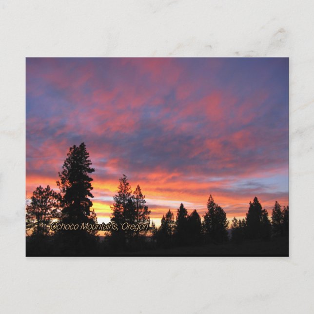 Oregon Sunset-vykort Vykort (Framsida)