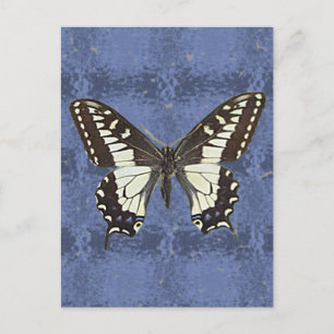Oregon Swallowtail Butterfly Vykort