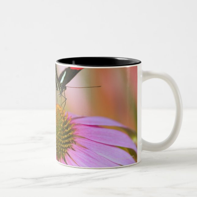 oregon USA 3 Två-Tonad Mugg (Höger)