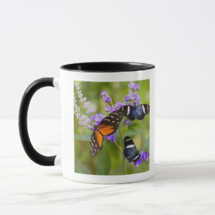 oregon USA Mugg