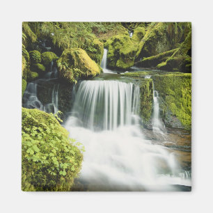 Oregon, Vattenfall i Willamette nationalpark Magnet