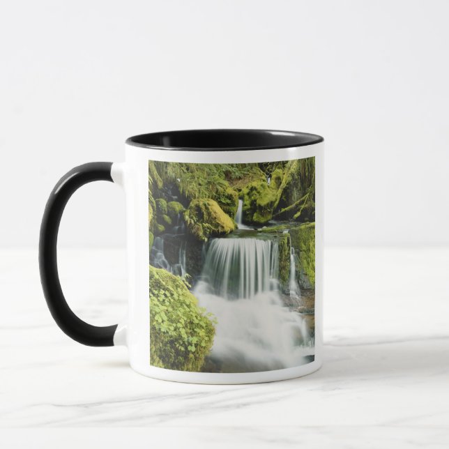 Oregon, Vattenfall i Willamette nationalpark Mugg (Vänster)