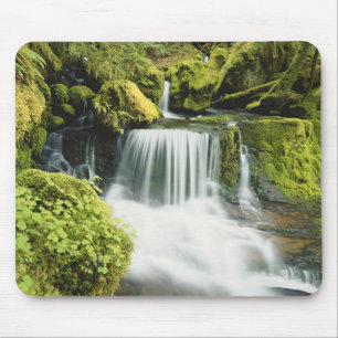 Oregon, Vattenfall i Willamette nationalpark Musmatta