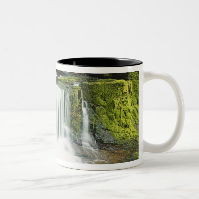 Oregon, Vattenfall i Willamette nationalpark Två-Tonad Mugg (Höger)