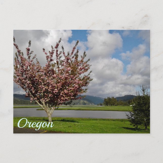 Oregon Vykort (Framsida)