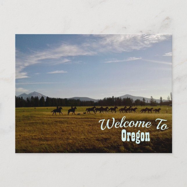Oregon Vykort (Framsida)